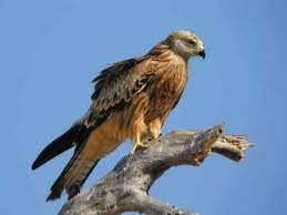 C:\Users\User\Desktop\Без названия.jpg